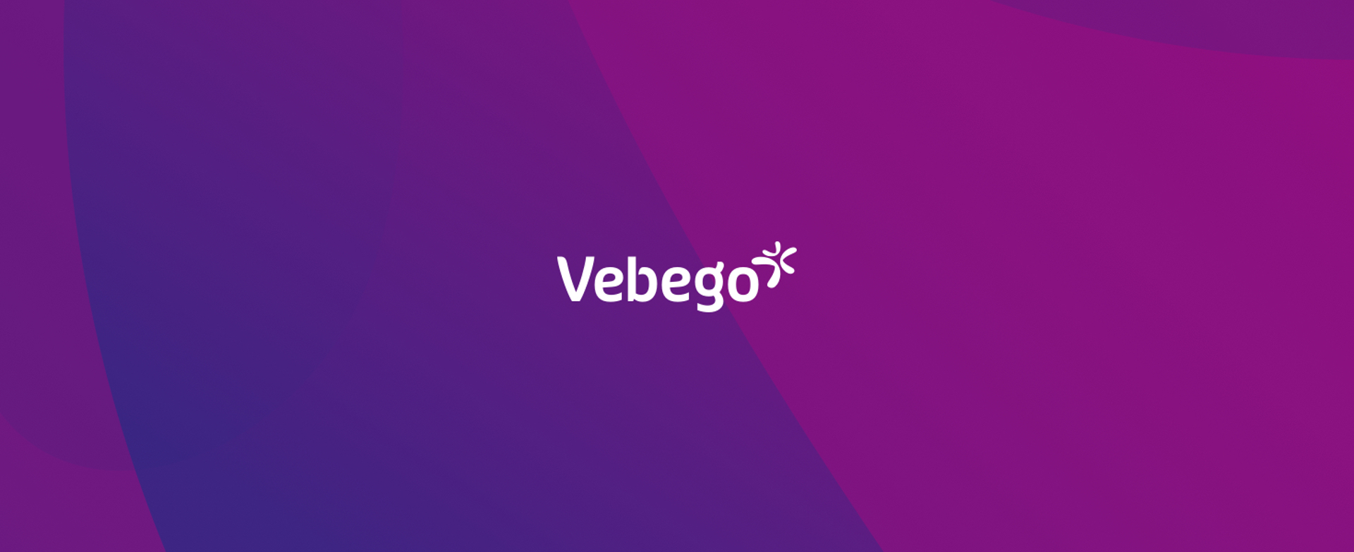 Article Vebego Identity (1)